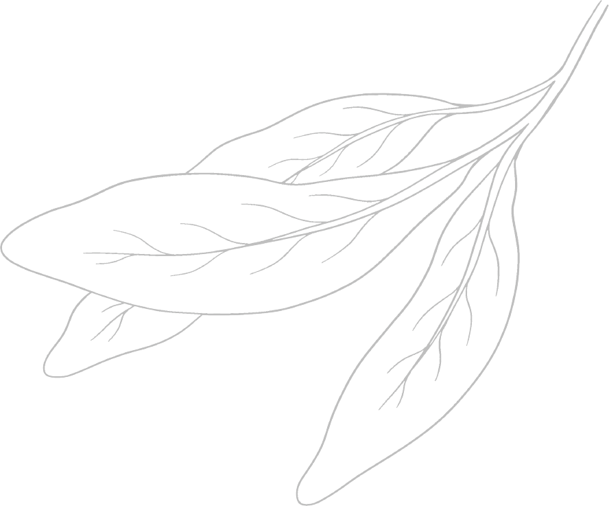 leaf background texture