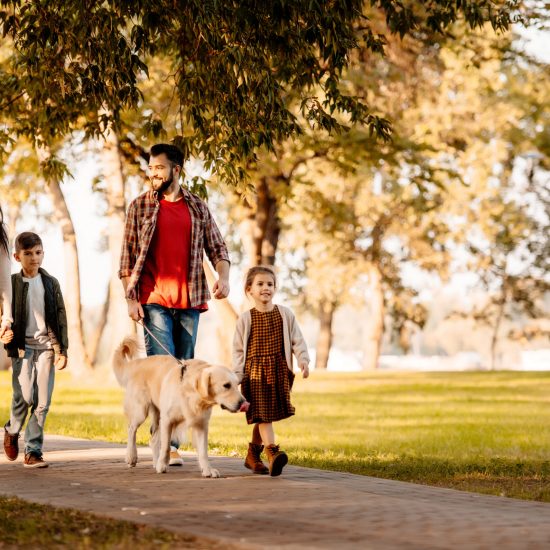 Family walking in park with dog